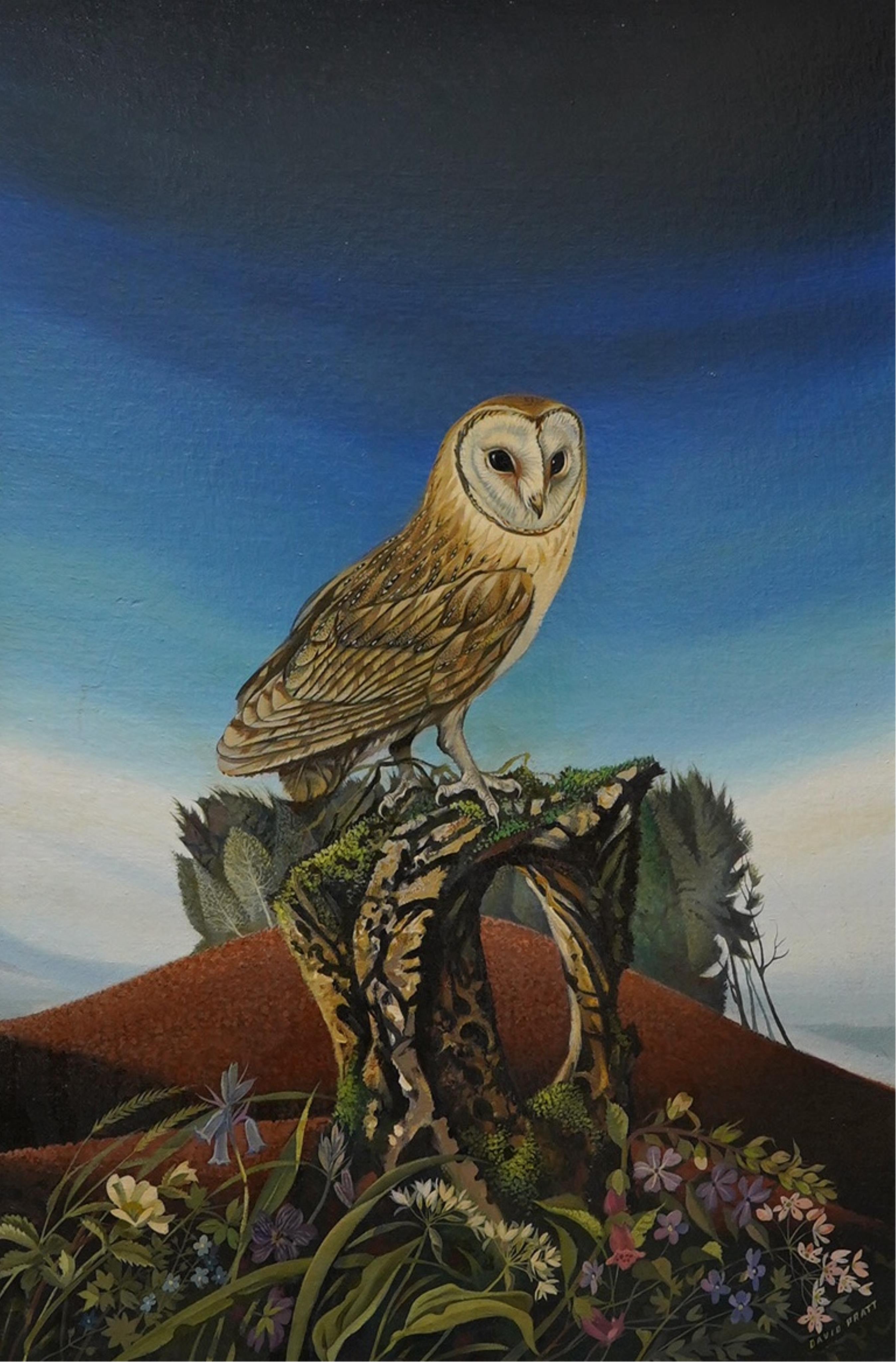 David Pratt (contemporary), ‘Barn owl, May in Cornwall’, signed, exhibited at the Mall Galleries in '1981' according to the inscribed label verso, oil on board, 77 x 50cm